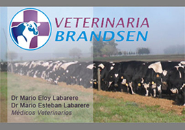 Veterinaria Brandsen