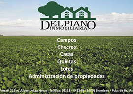 Delpiano Inmobiliaria