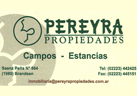 Pereyra Propiedades