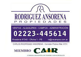 Rodriguez Ansorena Propiedades